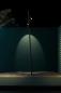 Preview: LX Juncus